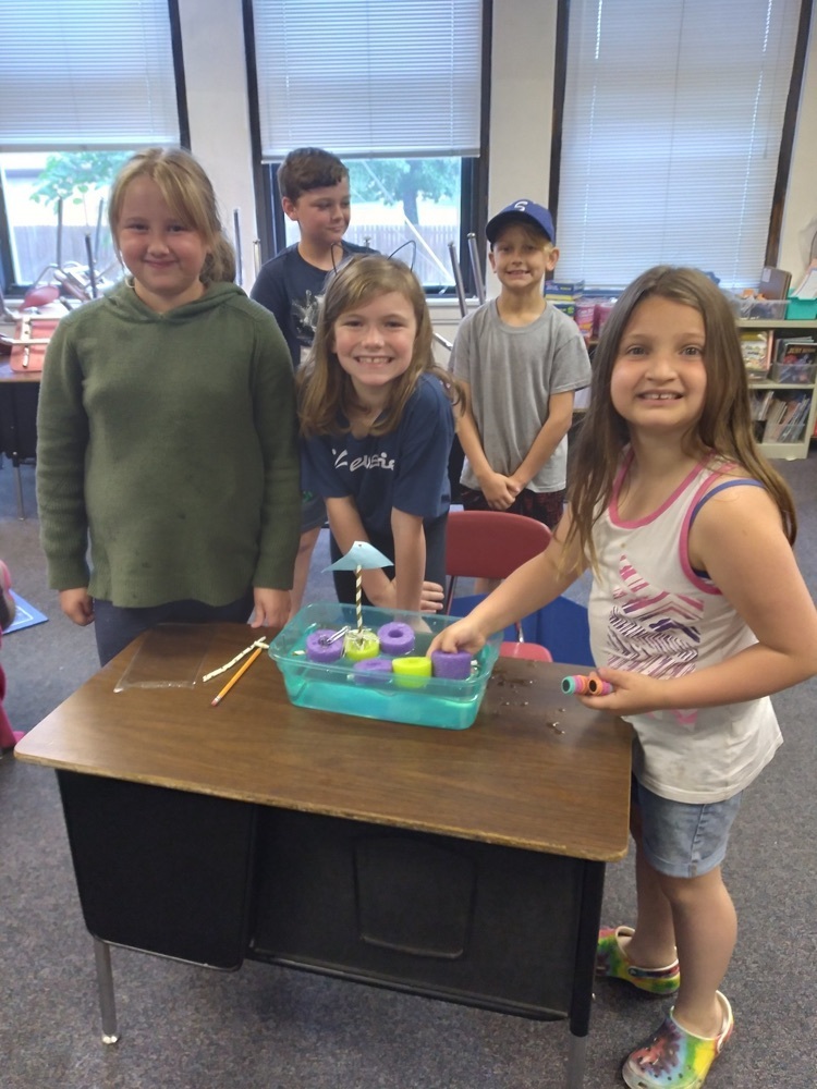 STEM FLOATATION PROJECT