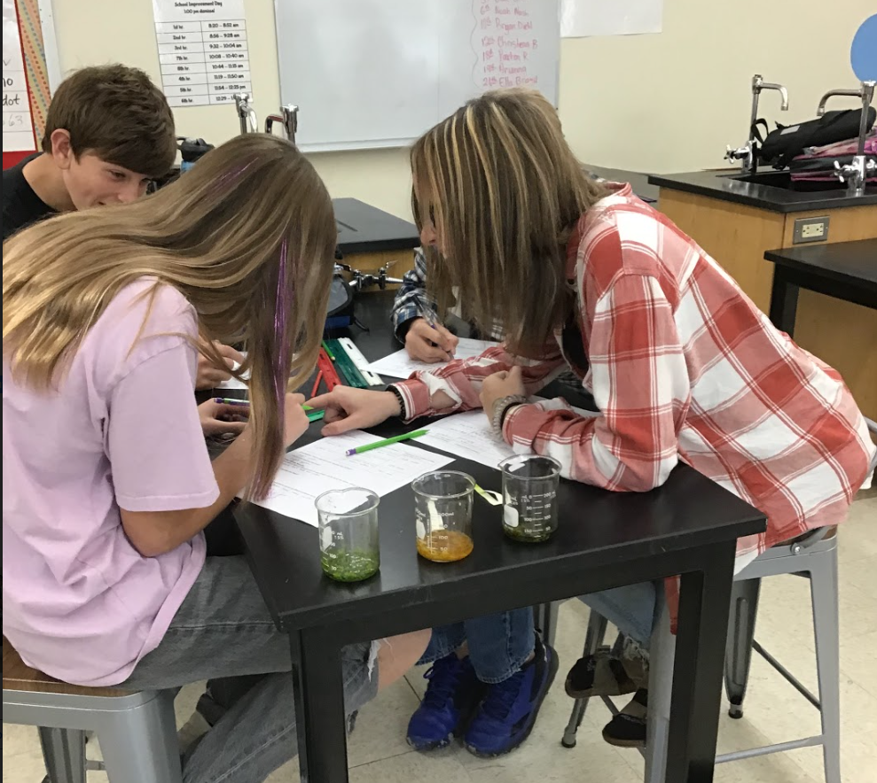 Students working together in science class